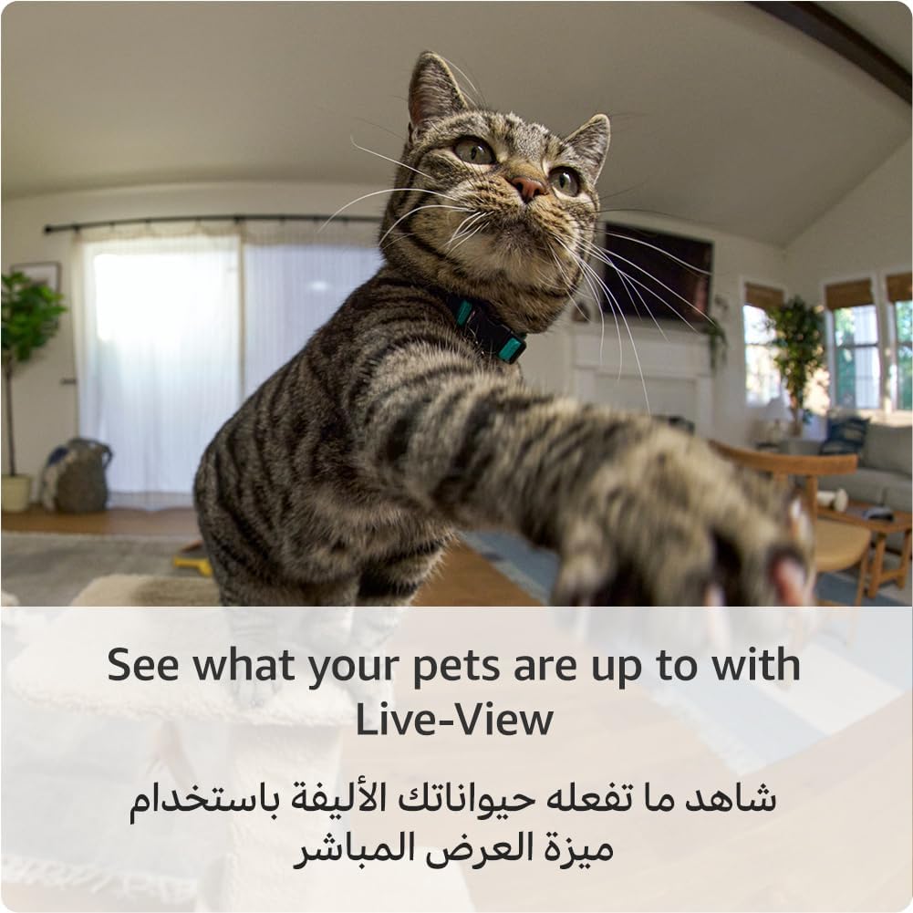 Ring Pan-Tilt Indoor Camera - Image 2